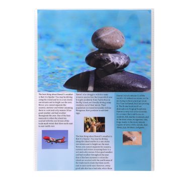 Exacompta 38040E Etuis de protection taille A4 - 220 x 300 mm 