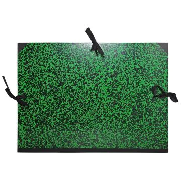 Carton à Dessin B3 et 1/2 raisin - Vert : EXACOMPTA Visuel