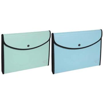 EXACOMPTA ;  Trieur-conférencier A4  -  EXAFOLIO 55834E