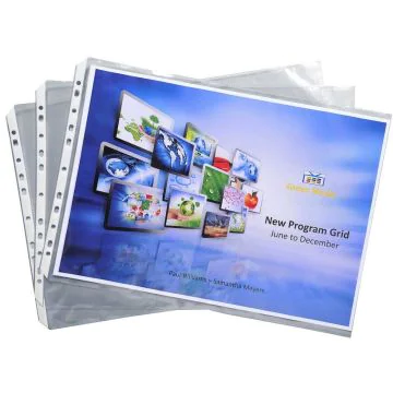 5934E Pochettes perforées Exacompta Exactive A3 Présentation