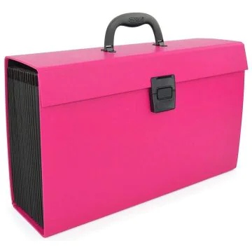 Photo Trieur valisette avec poignée - 19 compartiments - Rose RAPESCO