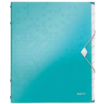 Photo Trieur A4 - 12 compartiments - Menthe LEITZ Wow