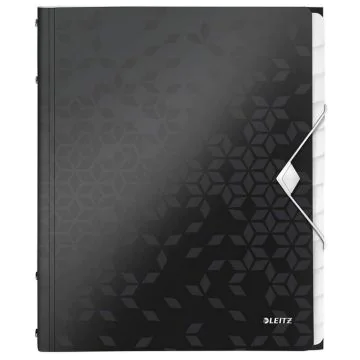 Photo Trieur A4 - 12 compartiments - Noir LEITZ Wow Image